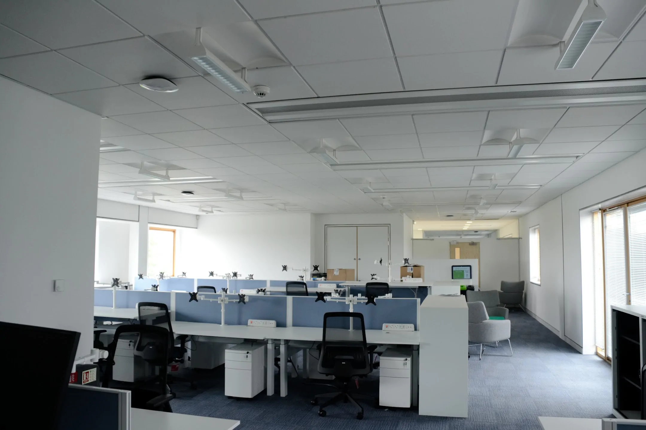 Interior Painting for Office Revamp