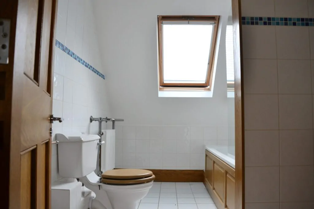 Bathroom painting