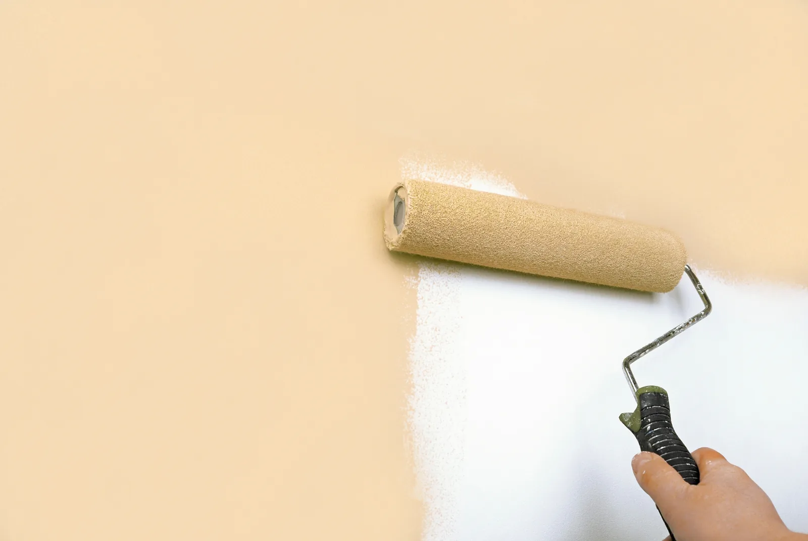 A roller laying cream emulsion onto a white wall, hand and sleeve in frame